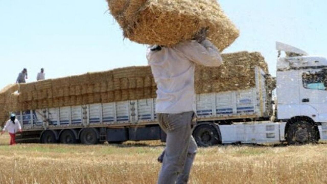 Biçerdöverin çıktığı buğday tarlasına “balyacılar“ giriyor