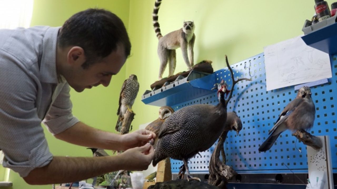 Taksidermi sanatıyla yaptığı hayvan çalışmaları Doğa ve Böcek Müzesi'nde sergilenecek