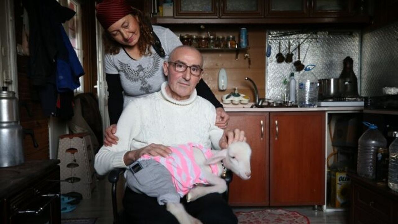 Hayvansever aile annesiz kalan kuzuya "sıcak yuva" oldu