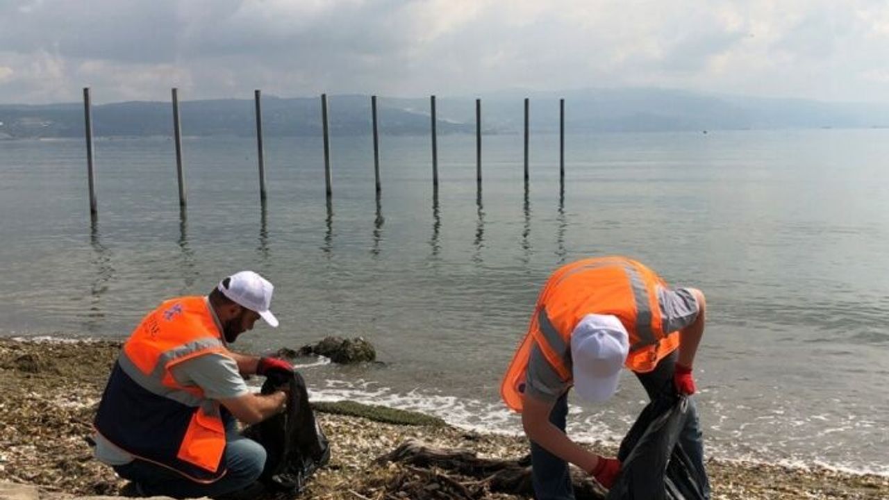 Yalova'da Altınova sahilindeki Hersek Plajı'nda çevre temizliği yapıldı