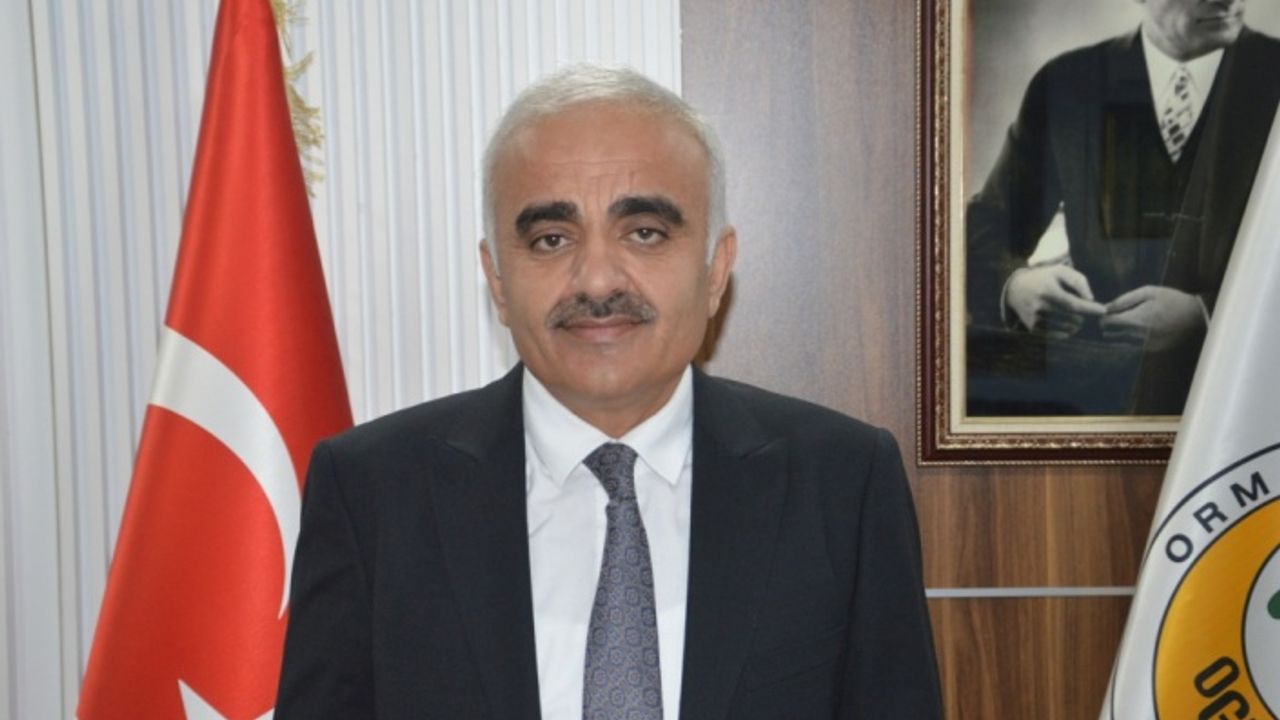 Sakarya'da ormancılar yılbaşı öncesi çam nöbetinde