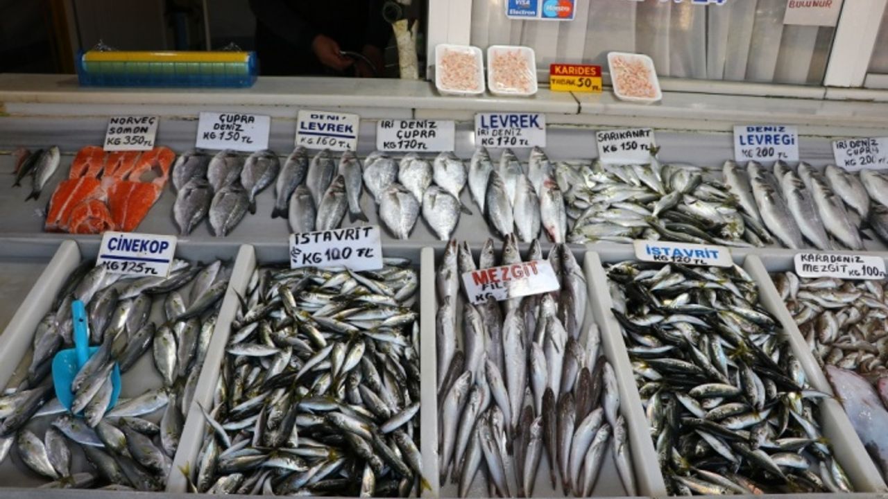 Tekirdağ'da avlanan çinekop, kilosu 125 liradan satılıyor