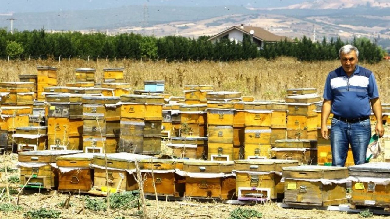 Bursa Yenişehirli arıcılara 85 bin lira devlet desteği