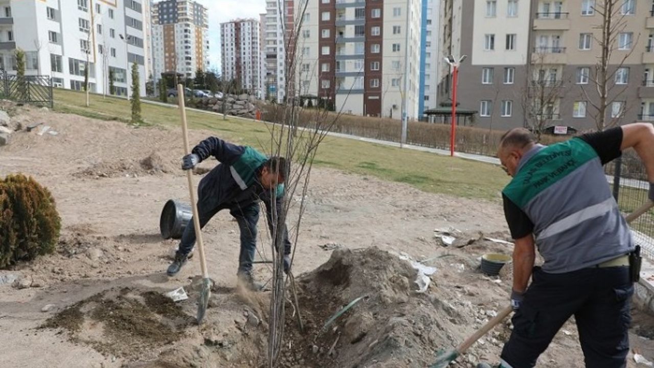 Kayseri Talas'ta ağaçlandırma sezonu açıldı