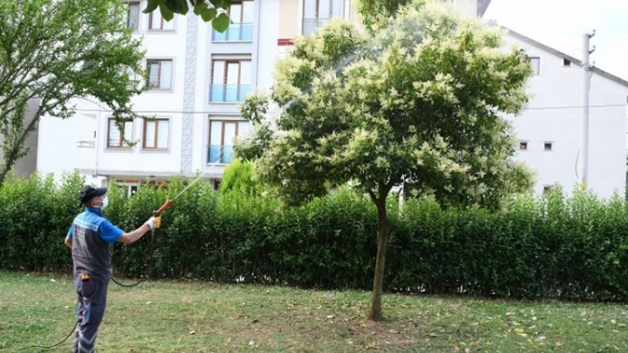 Çayırova'da mesire alanları ve parklar ilaçlanıyor