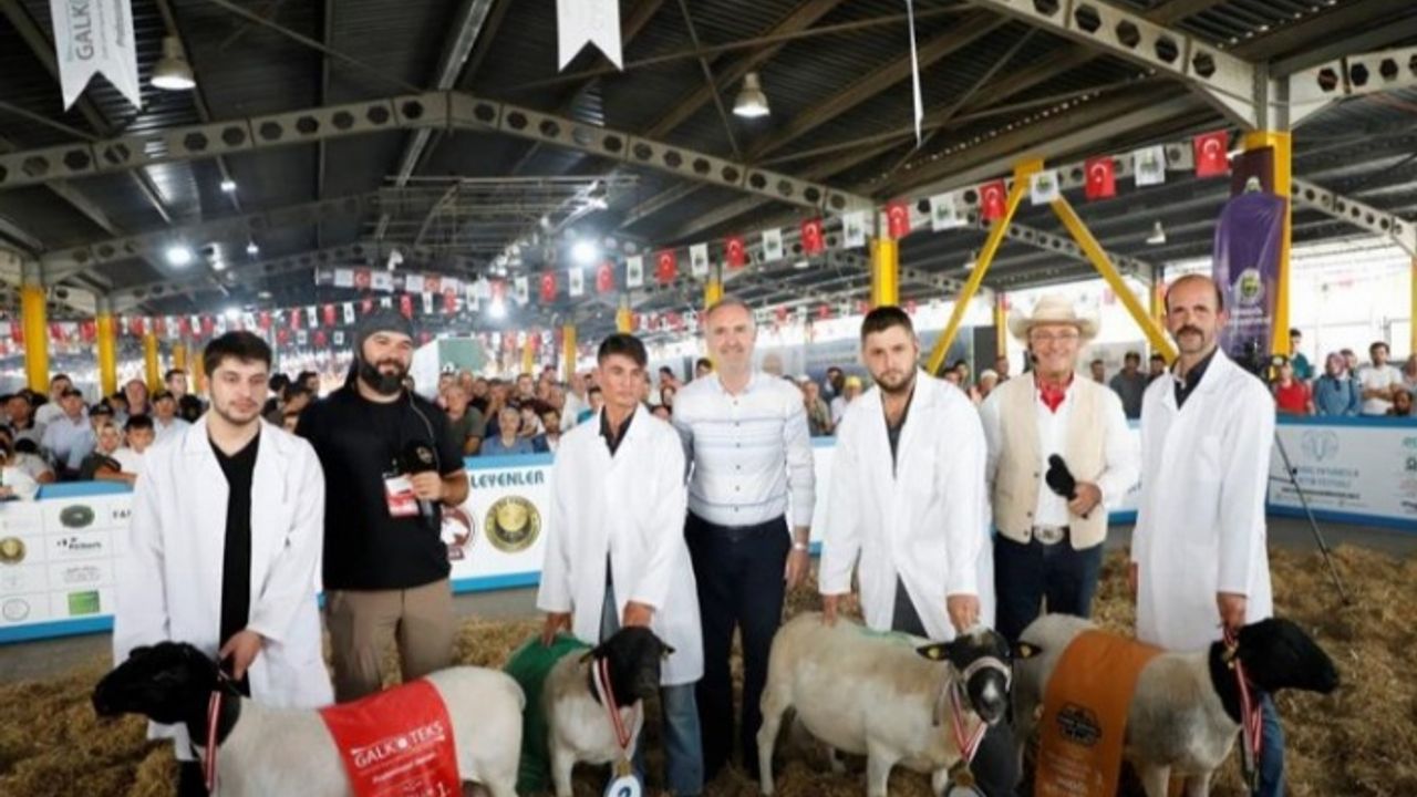 Türkiye’nin en kapsamlı küçükbaş hayvancılık festivali için geri sayım başladı
