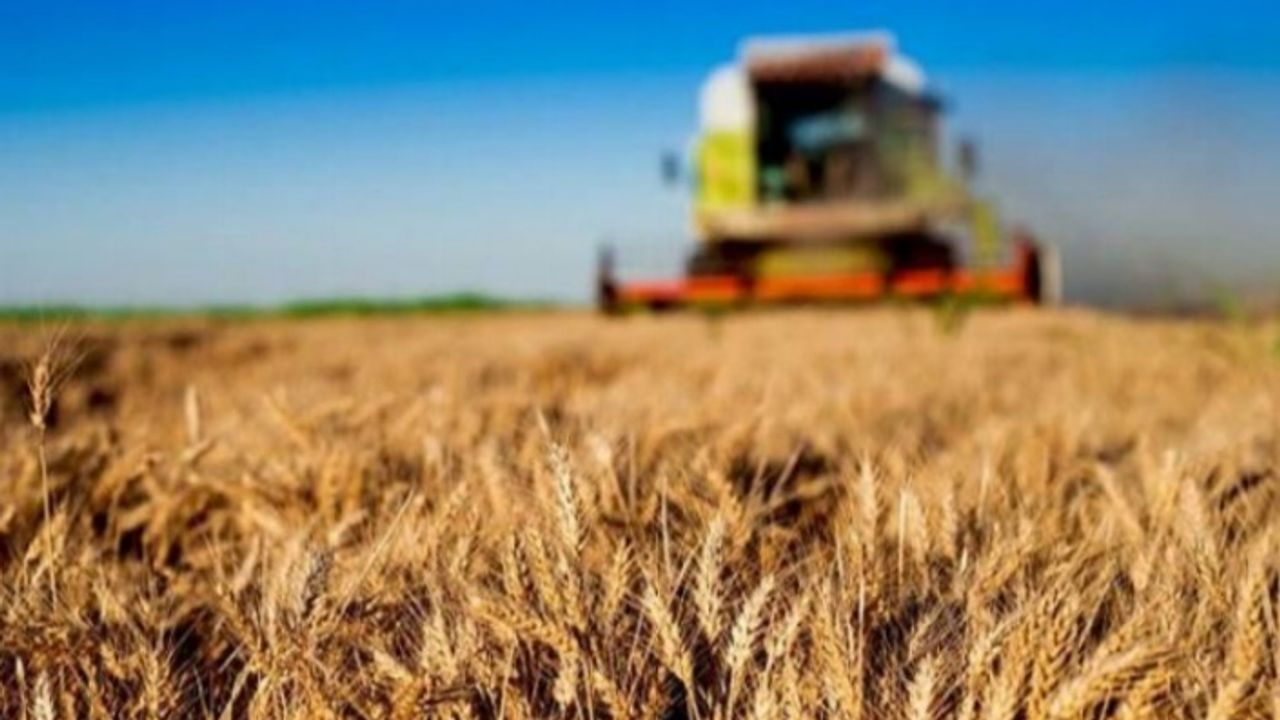 1,5 milyar TL'lik tarımsal destek hesaplara aktarılıyor