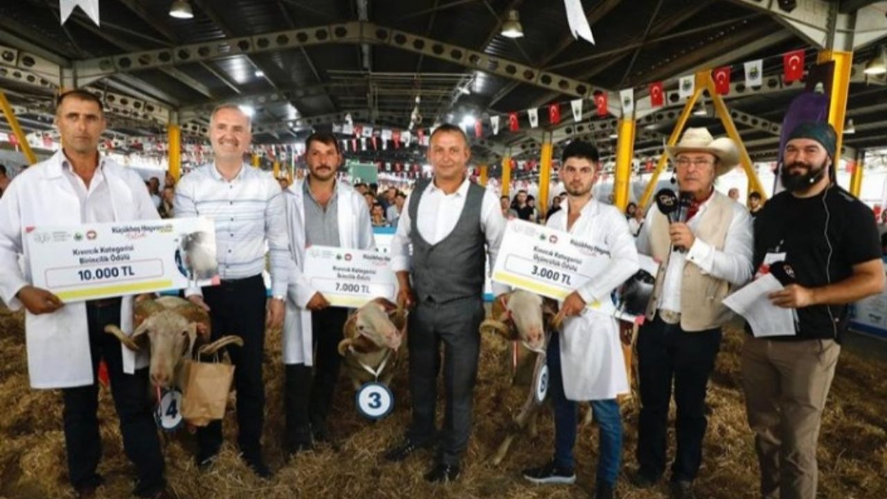 Bursa İnegöl'de 3. Küçükbaş Hayvancılık Festivali başlıyor