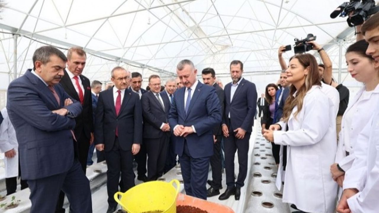 Kocaeli'nde öğrenciler  Ar-Ge serasında çilek yetiştiriyor