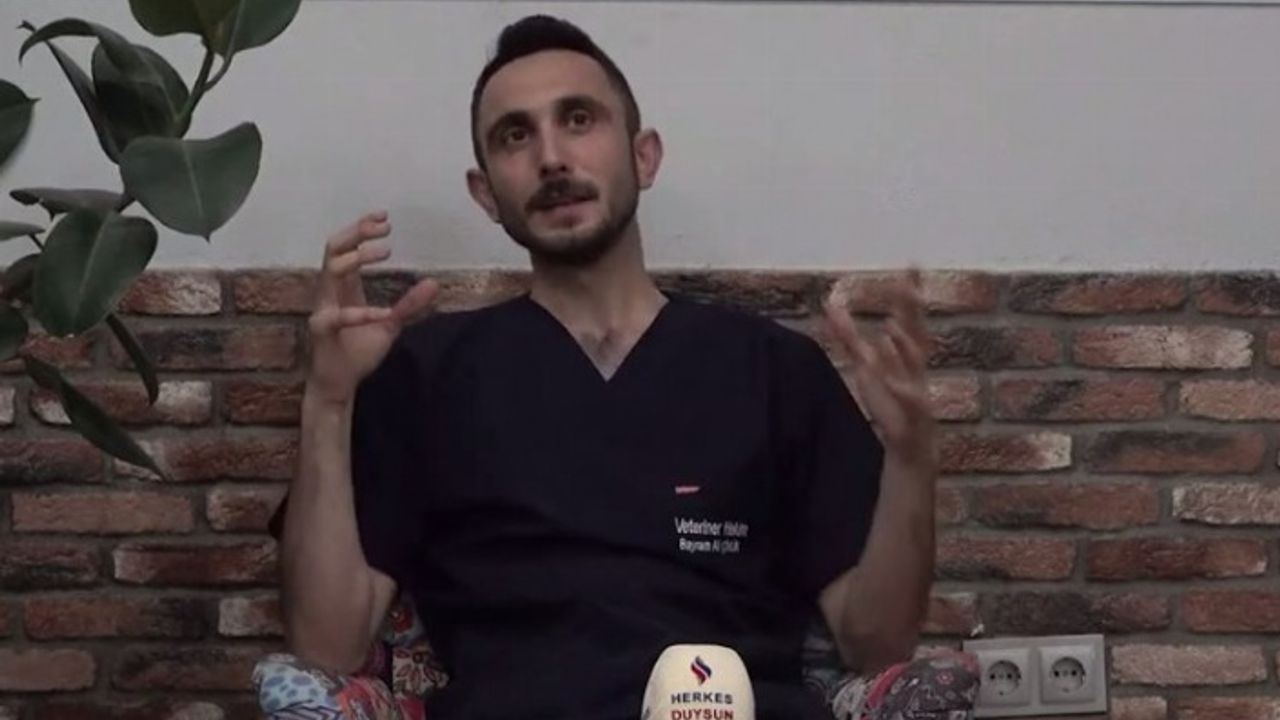 Veteriner hekimin isyanı: Hayvanları eşya gibi görmeyin!