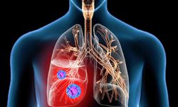 Akciğer kanseri hakkında çarpıcı araştırma!