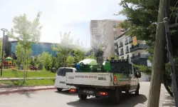 Keçiören'de ilaçlama çalışmaları hızlandı