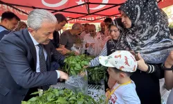 İzmit Belediyesinden halka fide desteği