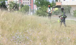 Çayırova'da boş arazilerdeki otlar biçiliyor