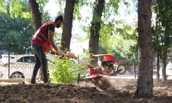 Keçiören'de park ve bahçelere estetik dokunuş