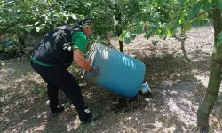 Kocaeli’de dört mevsim sivrisineklerle kararlı mücadele