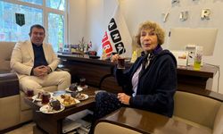 Ayşe Kulin'e, Anayurtlu sürprizi