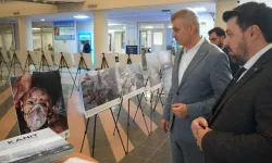 Kocaeli Gölcük'te 'Kanıt' sergisi