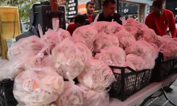 İzmit Belediyesi, kendi ürettiği mantarları vatandaşa dağıttı