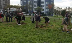 Kocaeli'de Çayırovalı öğrenciler, fidanları toprakla buluşturdu