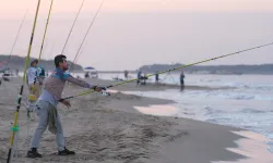 Kocaeli'de olta ustaları yarışacak