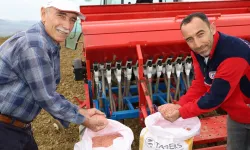 Kocaeli'nin hibeli tohumları toprakla buluştu