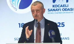 Kocaelispor için bin dolarlık bin firma arıyor!