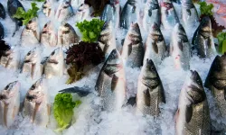 Su ürünleri ihracatının yüzde 47'si Ege'den yapıldı