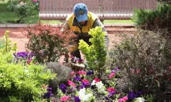 Keçiören'de seradan parklara uzanan yeşil yolculuk