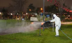 Keçiören'de zararlılara çifte önlem