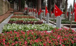 Kocaeli'de şehitliklerde çevre düzenleme çalışması