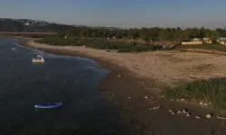 Sapanca Gölü'ne ağır sanayi yükü uyarısı!