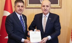 Bebek ölümleri ile ilgili kapsamlı rapor TBMM'de