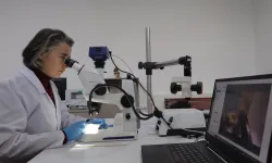 Büyükşehir konservasyon laboratuarı kurdu