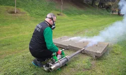 Kocaeli'de sivrisinekle mücadele çalışmaları sonuç verdi