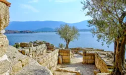 Türkiye sulak alanlar için kritik eşikte