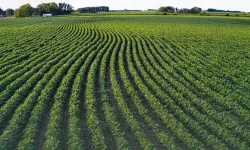 Tarım arazilerinin etkin kullanımı için hibe desteği