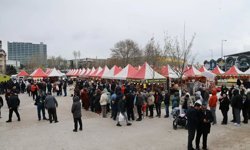 Gebze’de 5 ton hamsi dağıtıldı