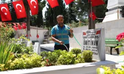 Gebze'de mezarlık ve şehitliklere kapsamlı bakım