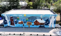 Kocaeli'nin duvarları kentin değerlerini anlatıyor