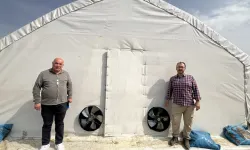 Kocaeli'de kırsal kalkınmaya mantar üretim çadırı katkısı