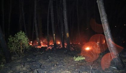 Kandıra'da yaklaşık 15 dönümlük ormanlık alan yandı
