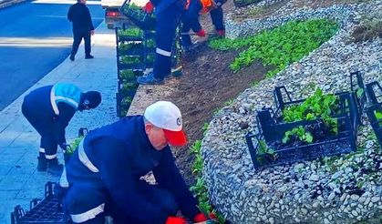Gebze çiçeklerle donatılıyor