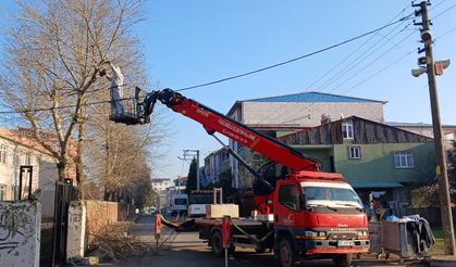 Dilovası’nda 15 Tatilde ağaç budama çalışmaları devam ediyor