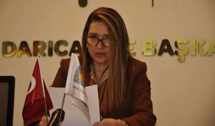 Demirel: Darıca'da sorunlar kalıcı hale gelmiştir.