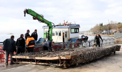 Gebze Eskihisar'da nefes alıyor