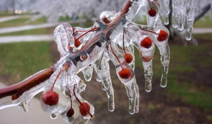 Uzmanlar uyarıyor: Meyve bahçelerinde don riski için mikro-sprinkler çözümleri öne çıkıyor