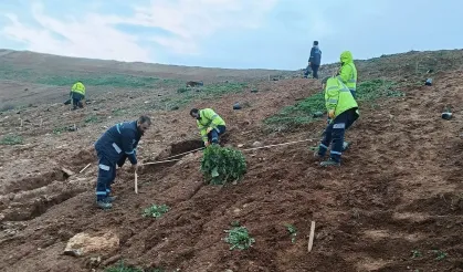 Gebze'de Büyükşehir'le yeşile dokunuş