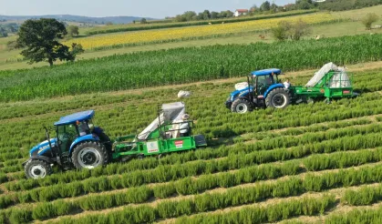 Kocaeli'de kırsal üretimde Büyükşehir'in izi var