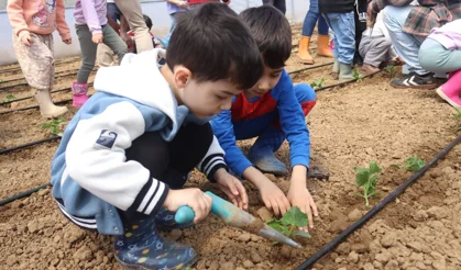 İzmitli çocuklar ilk fidelerini çocuk serasında ekti